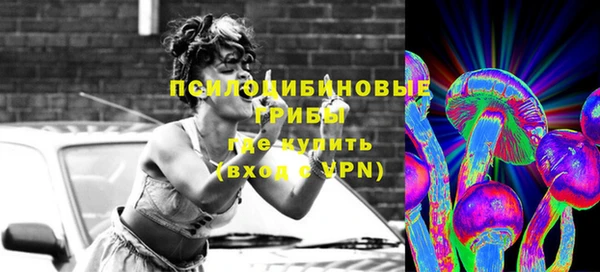 винт Алзамай